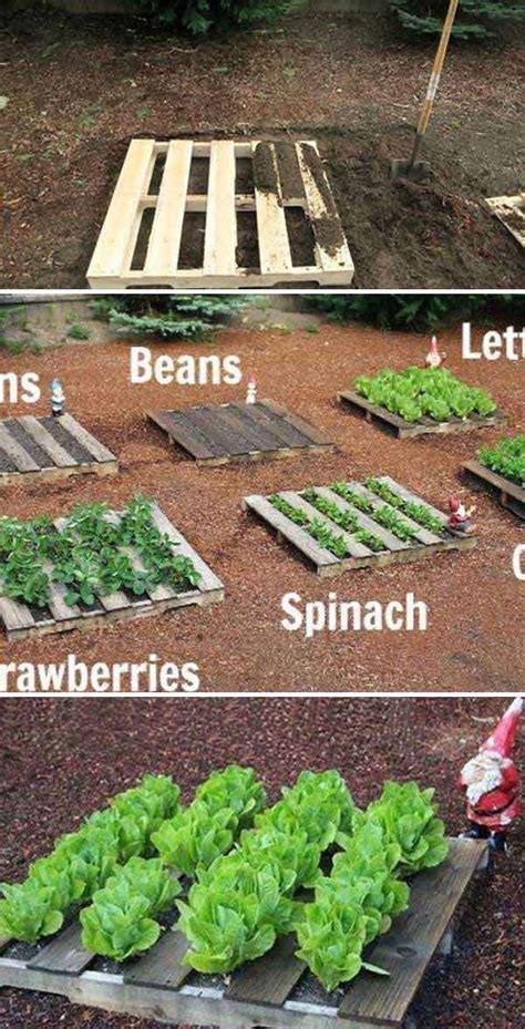 22 Ways For Growing A Successful Vegetable Garden Amazing Diy