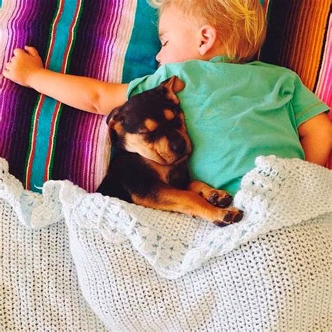 Fotos de neném dormindo com cachorro viram sucesso na internet