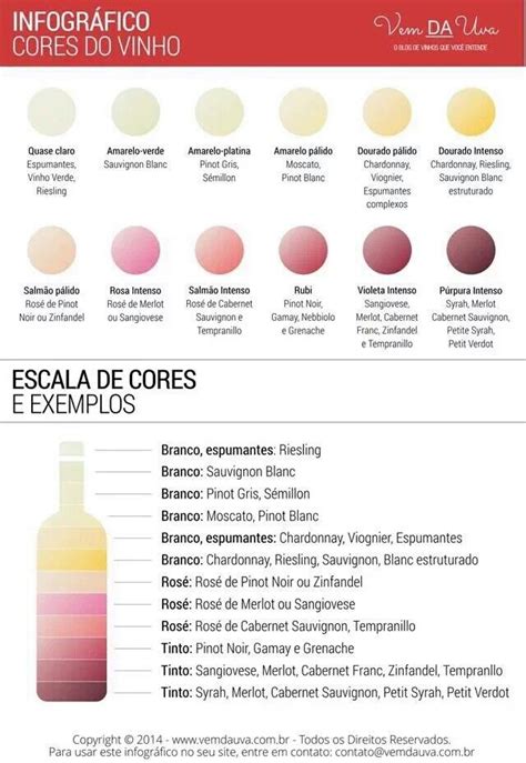 Wine Colors Vinos Intenso Vino