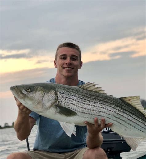 Surfland Bait And Tackle Plum Island Fishing Weekly Report