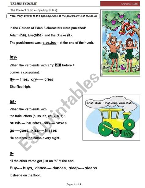 Present Simple Spelling Rules Esl Worksheet By Simsh1