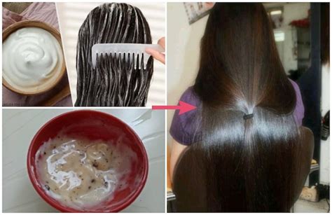 It is an all natural and inexpensive way to provide deep conditioning treatment to hair. 5 Best Homemade Hair Mask Recipes for Dry Hair | Dull Hair ...