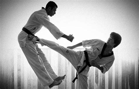 Top 10 Martial Arts Disciplines For Self Defense And Survival Tiger