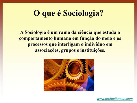 A Sociologia é Uma Ciência Humana Que Estuda A Sociedade