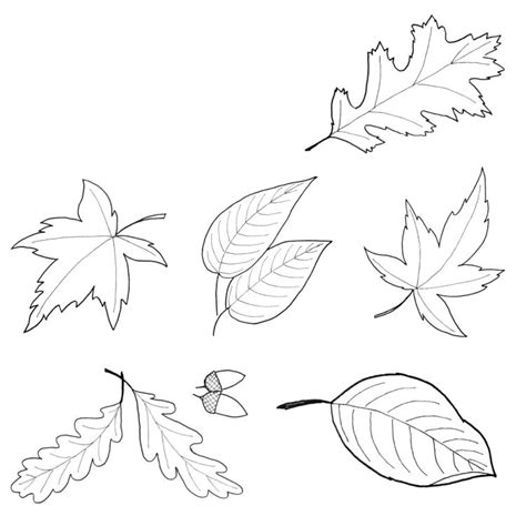 Varat lejupielādēt grāmatu 12 blätter vorlagen, perspectivische darstellungen geometrischer körper: fensterbilder-herbst-vorlage-ausdrucken-ausmalen-schablone ...
