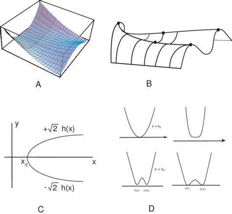 Aspects Of The G Surface A G As A Function Of X And Y B The Download Scientific Diagram