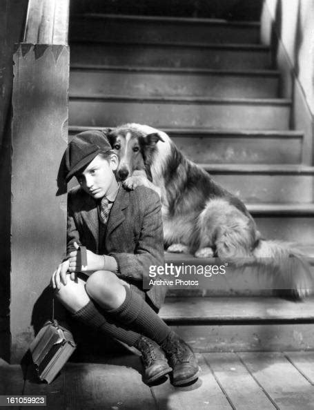 Roddy Mcdowall Is Comforted By Lassie In A Scene From The Film