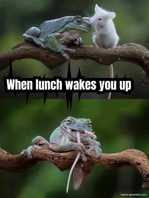 When Lunch Wakes You Up Meme Generator