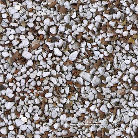 White Pebbles Stone With Dead Leaves Texture Seamless 19753