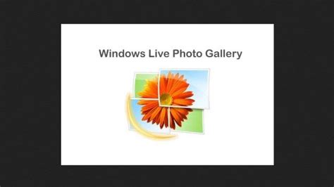 Windows Photo Gallery Download For Windows 10 7 8 3264 Bit Windows