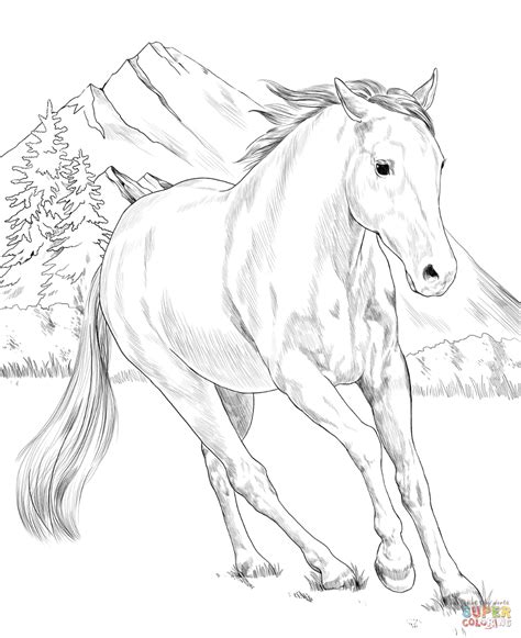 American Paint Horse Coloring Page Free Printable Coloring Pages