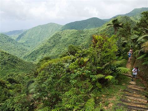 morne trois pitons roseau dominica in 2020 national parks travel activities travel