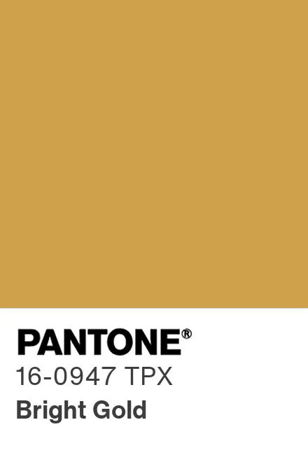 Pantone® Usa Pantone® 16 0947 Tpx Find A Pantone Color Quick