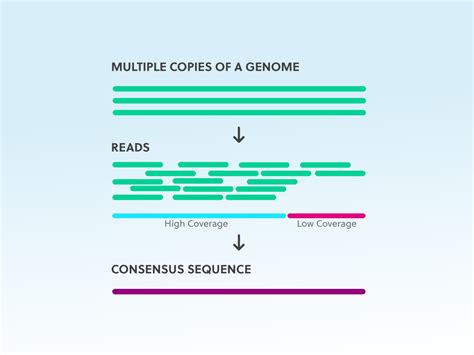 A single sequence produced from a sequencer. NGS considerations: coverage, read length, multiplexing ...