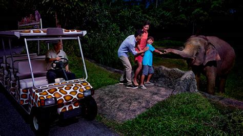 Singapore Night Safari Everything You Wanted To Know And Practical Tips