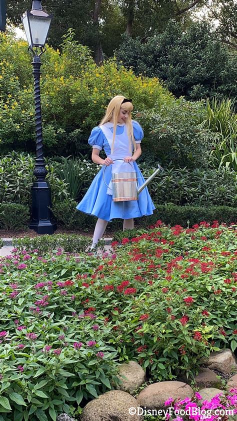 Spotted Meet Alice In Wonderland From A Distance In Disney World The