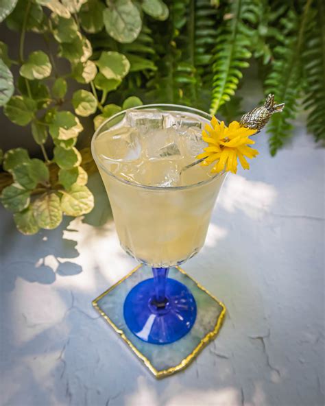 Easy Lillet Spritz Recipe: A Light & Fresh Sunny Day Sip
