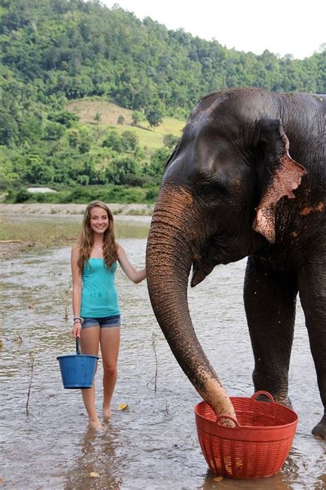 washing elephants each day is a big job at the elephant nature park in thailand with loop