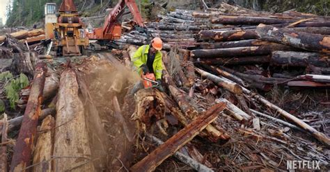 Netflixs ‘big Timber Sheds Light On The Logging Industry But Is That