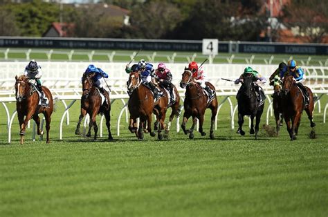 Randwick Tips Horse Racing Tips For The May 23 Sydney Meeting From