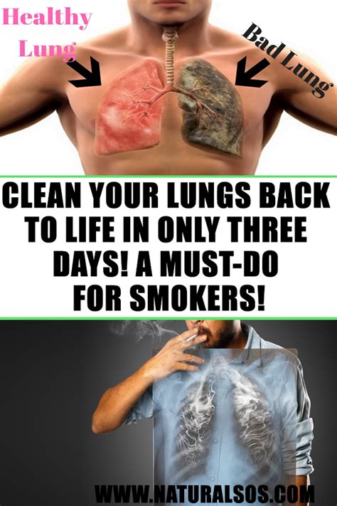 Clean Your Lungs Back To Life In Only Three Days A Must Do For Smokers