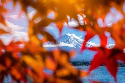 Mount Fuji In Autumn Color Japan Stock Image Image Of