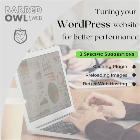 Tuning Your WordPress Website For Better Performance Barred Owl Web