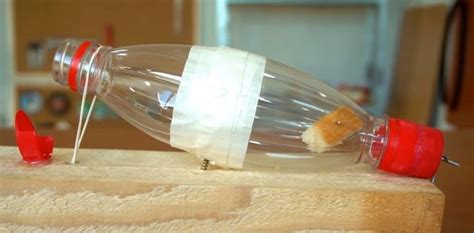And carrying disease along with them. DIY Mouse Trap | Your Projects@OBN | Mouse traps, Chicken ...