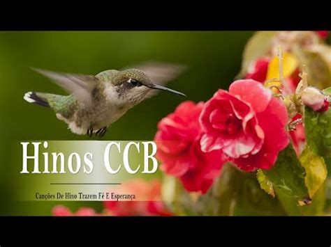 Ccb hinos cantados do hinário edição nº 5 brasil. Hinos Ccb Cantados Hinário 5 Do 1 Ao 480 Letras : Video ...