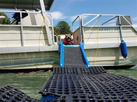 How To Make A Dog Ramp For A Pontoon Boat 7 Ideas For A