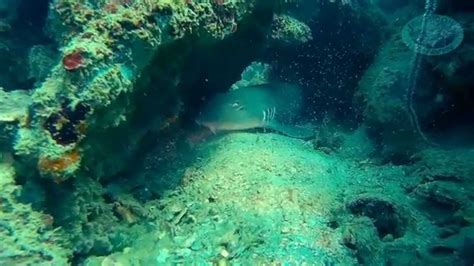 Scuba Diving At Local Islands Ao Nang Krabi Thailand Youtube