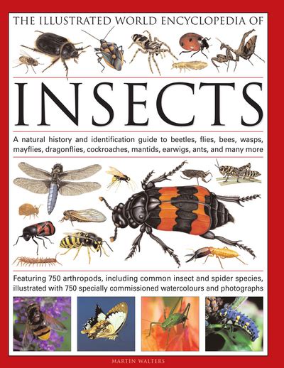 The Illustrated World Encyclopedia Of Insects By Martin Walters