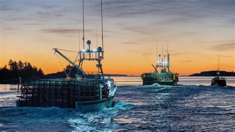 Ns Lobster Season Delayed In One Fishing Area But Goes Ahead In