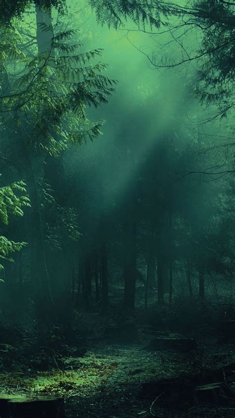 Download Wallpaper 1080x1920 Forest Fog Trees Shadows Light Samsung