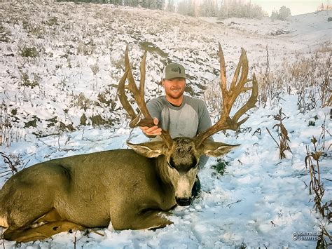 Wyoming Mule Deer Region G Non Typical Outfitters