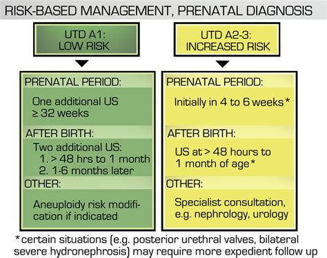 Multidisciplinary Consensus On The Classification Of Prenatal And