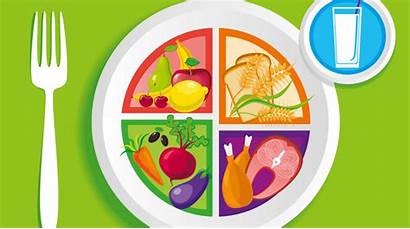 Myplate Nutrition Guidelines Dietary Diet American