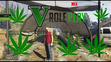 épisode 1 De Gta V Rp On Va Faire Du Cannabis Youtube