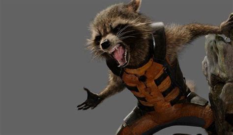 Guardians Of The Galaxy Photos Reveal The True Face Behind Rocket