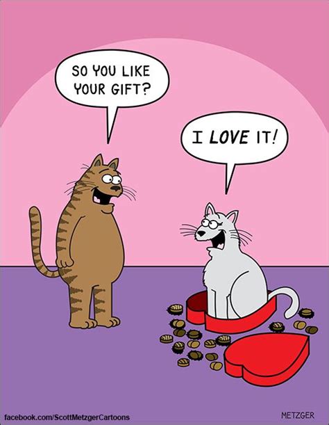 Cats Valentine T Scott Metzger Cartoon Funny Quotes Pinterest