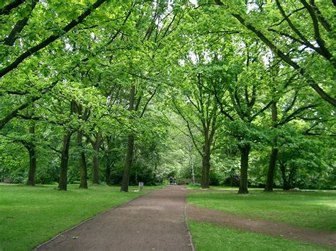 Tiergarten, Berlin Travel Guide
