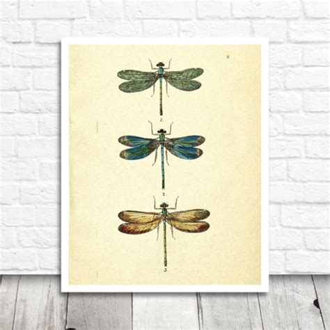 Vintage Dragonfly Art Print Digital Graphics Animal Etsy