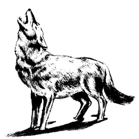 Wolf Clip Art Wolf Silhouette Wolf Clipart Wolf Howling
