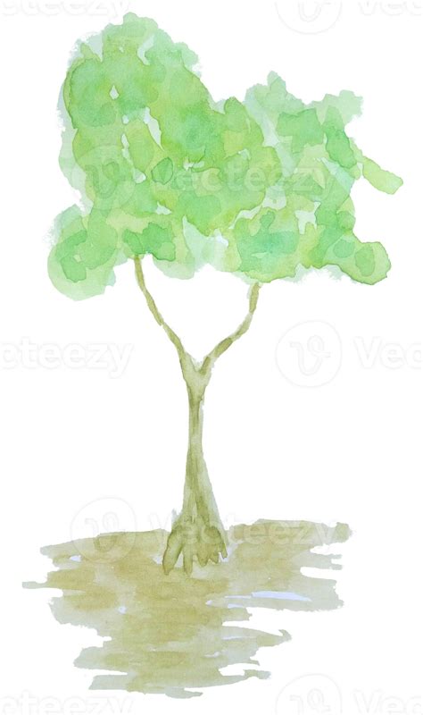 Watercolor Tree Tree Png Transparent Background 10792313 Png