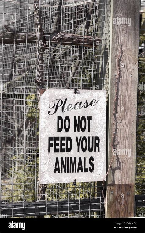 Please Dont Feed The Seagulls Or Pigeons Hi Res Stock Photography And