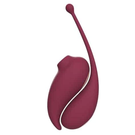 Adrien Lastic Inspiration Clitoral Suction Stimulator And Vibrating Egg With A Passion