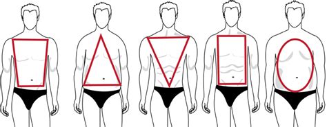 Men S Body Shape Guide Fat Skinny Muscular 2022