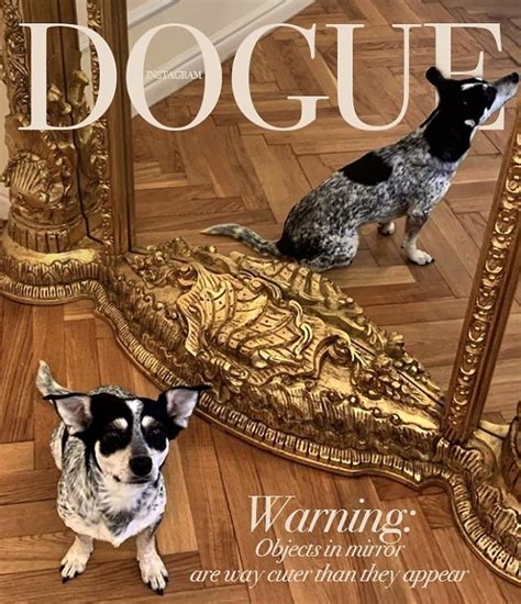People Are Creating ‘dogue Covers By Editing Their Dogs Into Them 30