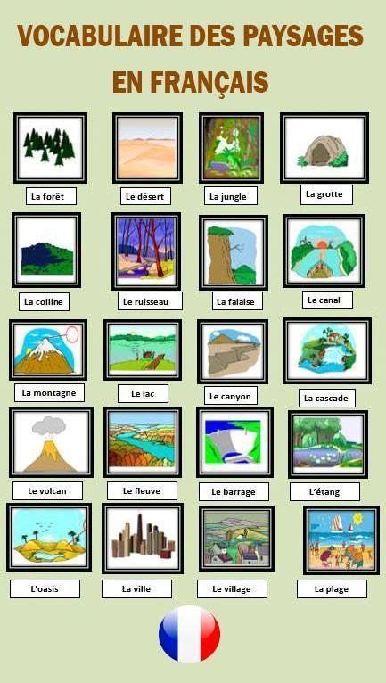 "lexique" | French flashcards, Basic french words, French language lessons