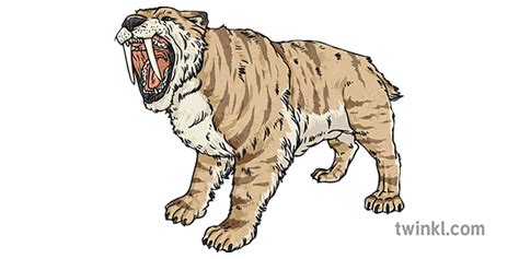 Roaring Sabretooth Tiger Wild Cat Stripe Animal Prehistoric Fossil